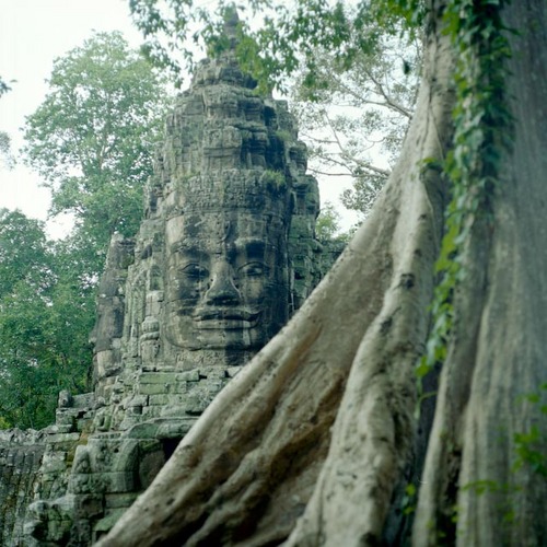 img1636.jpg