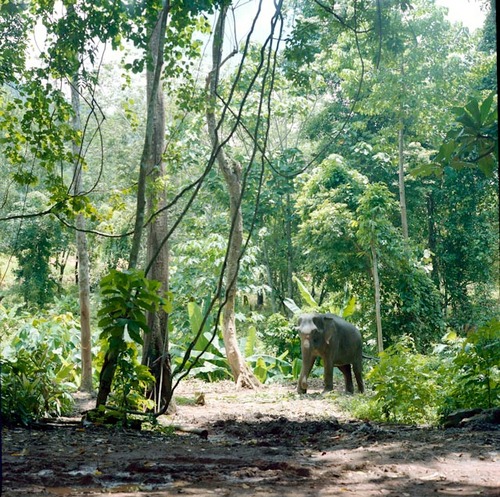 img1820.jpg